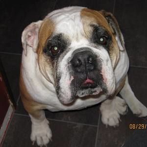 Meet your Posher, Ed